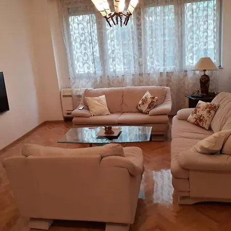 Roomba Lejlighed *